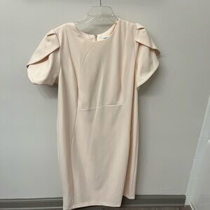 Classic pink dress.Straight body puffy sleeves.Good for work or a fancy occasion